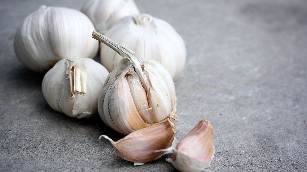 Valkosipulihengitys pysyy loitolla muutaman raaka-aineen avulla!