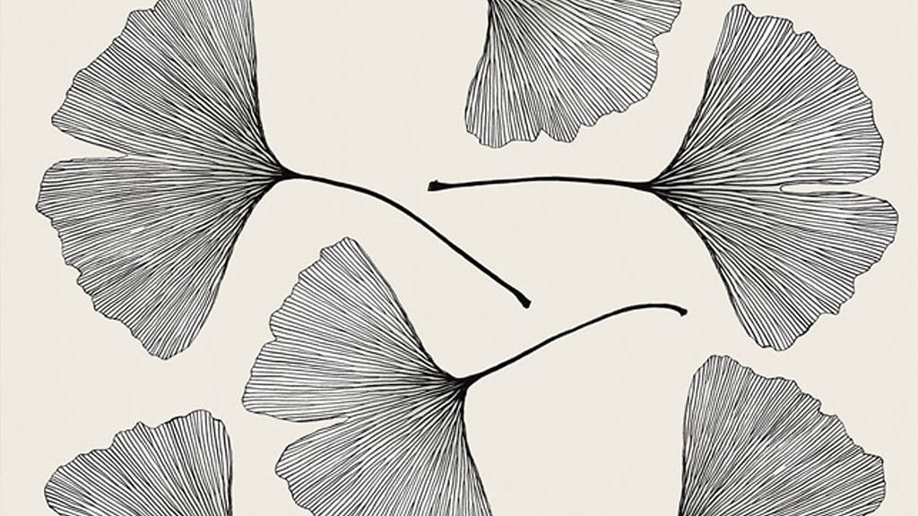 Marimekon Ginkgo-kuosi. Kuva: Marimekko.