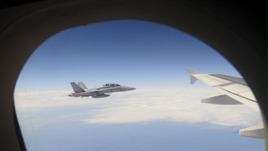 Hornetit työssään.