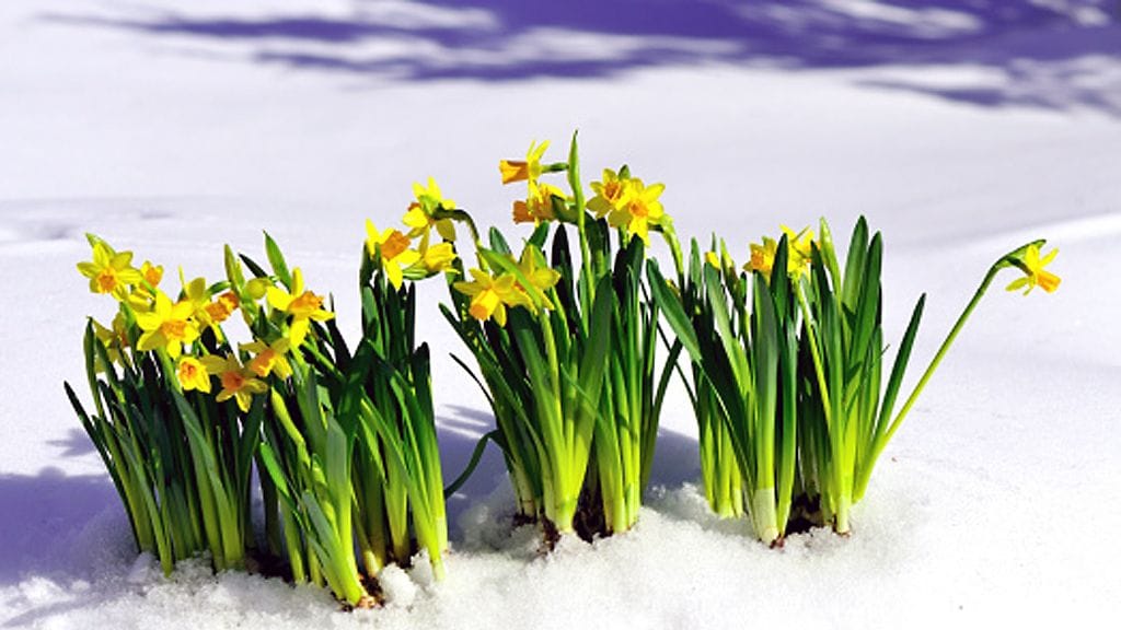 Sää muuttuu epävakaiseen suuntaan. Loppuviikolla säässä näyttäisi olevan lämpenevä trendi koko maassa.