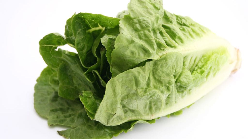 romaine