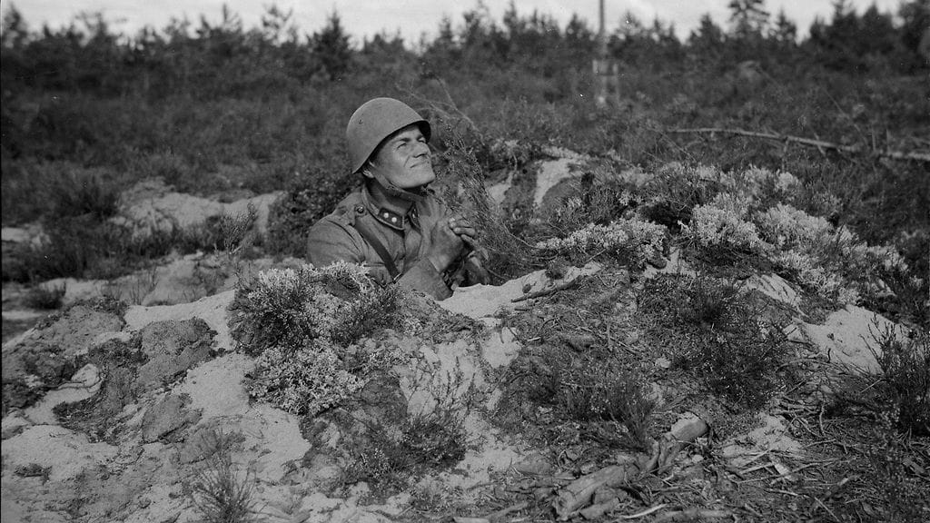 jatkosota, Suomi