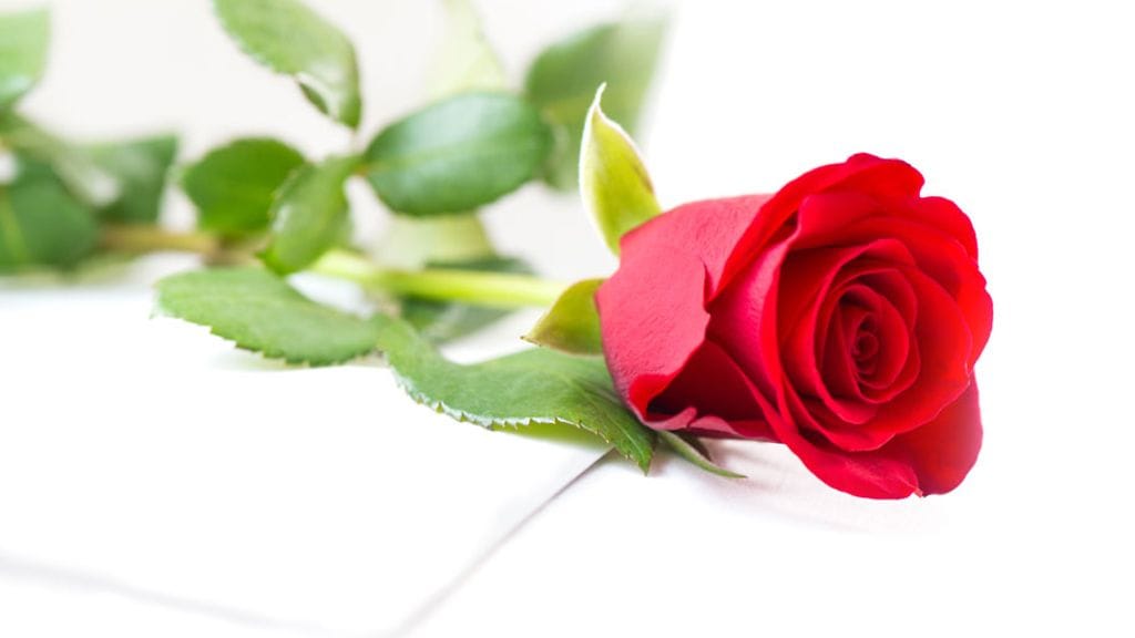 Tänään vietetään äitienpäivää.