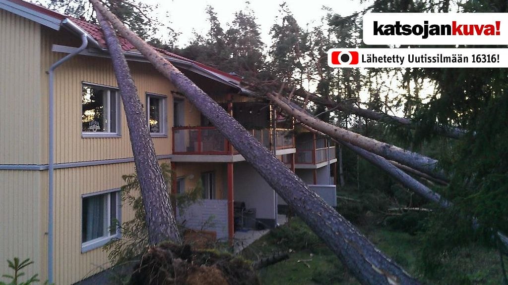 Tapani-myrskyn tekemiä tuhoja Salon Viitannummella. Katsojan kuva.