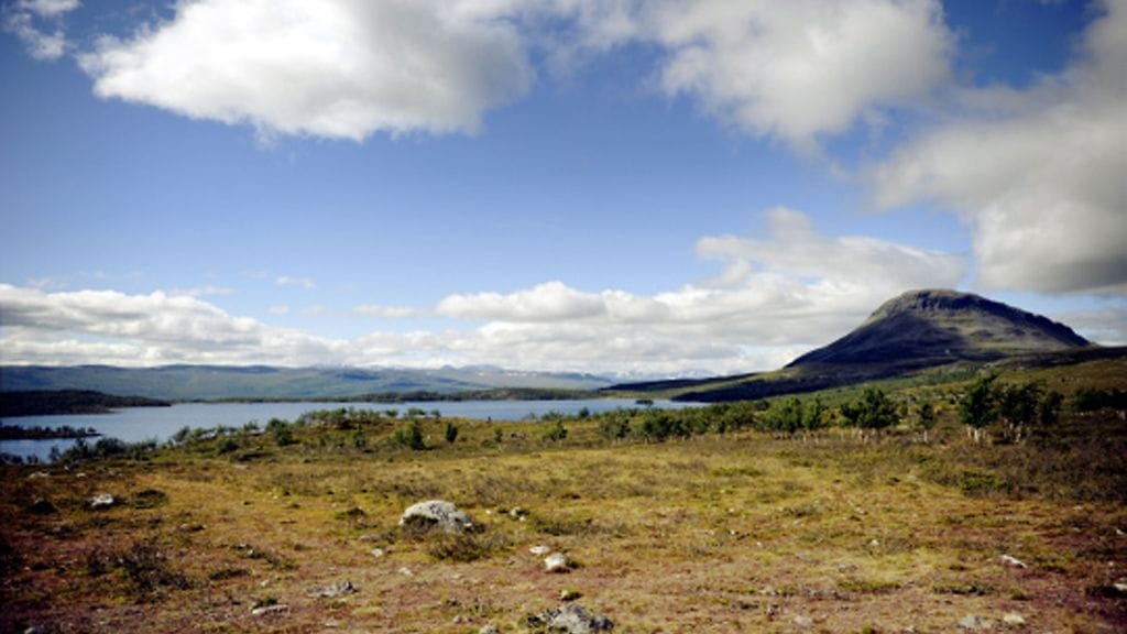 Saanatunturi Kilpisjärvellä heinäkuussa 2008.