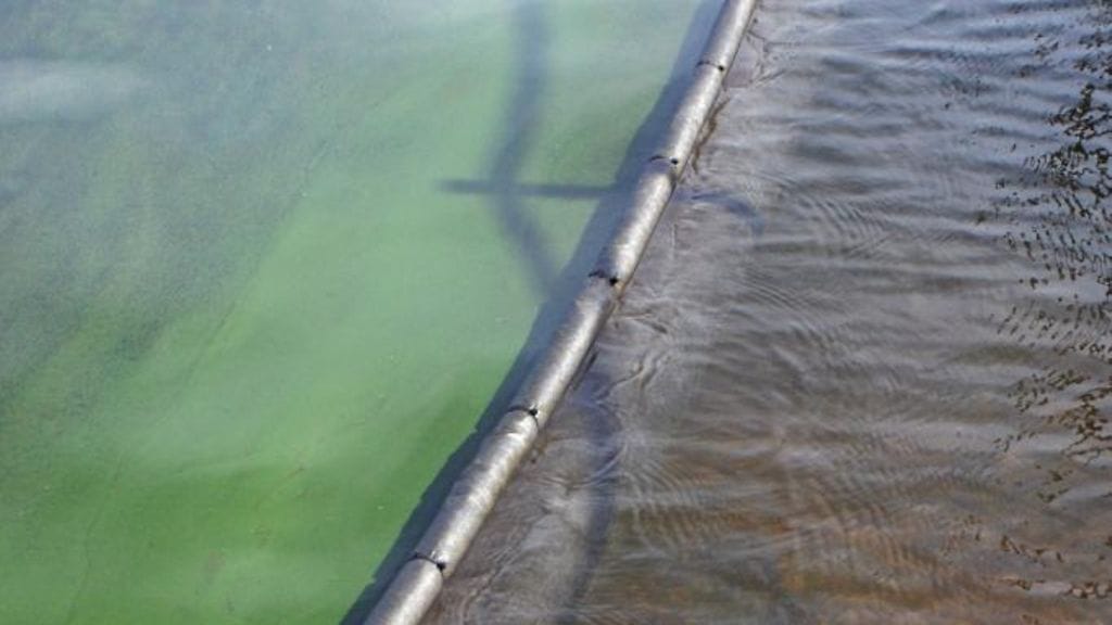 Saloy Oy:n kehittelemä sinileväpuomi estää sinilevälautan leviämisen rantaan.