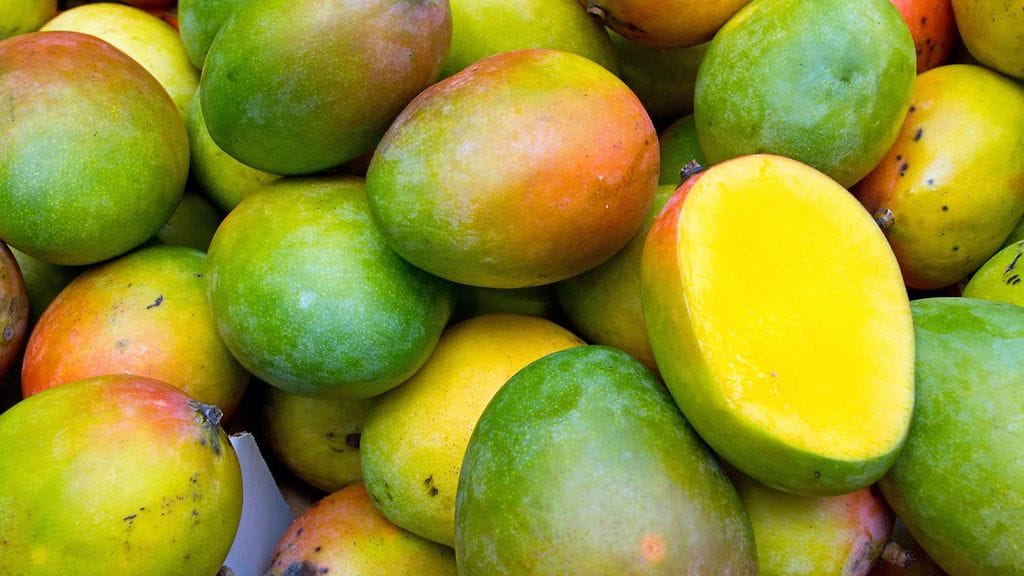 Mangon menekki kasvoi maaliskuussa Suomessa.