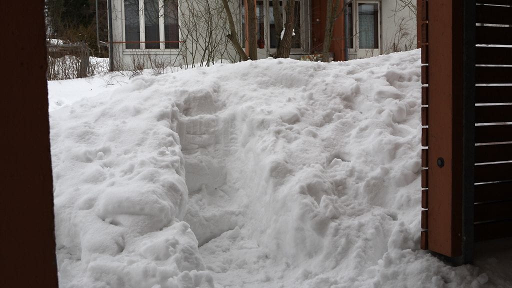Näkymä Pirkko Kuuselan ulko-ovelta pihalle.