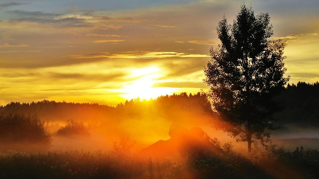 Arkistokuva. Sumua Ouluntiellä Kokkolassa kesällä 2014. Lukijan kuva: Miia Parviainen