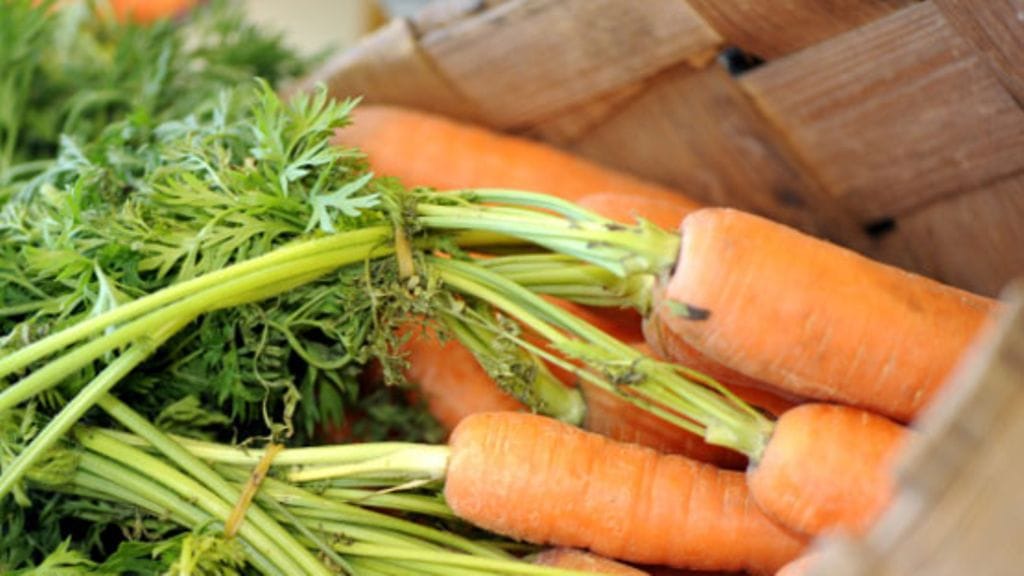 Porkkanoita Eat&Joy Maatilatori -myymälässä Helsingin Lasipalatsissa