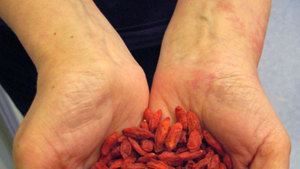 Goji-marjoja