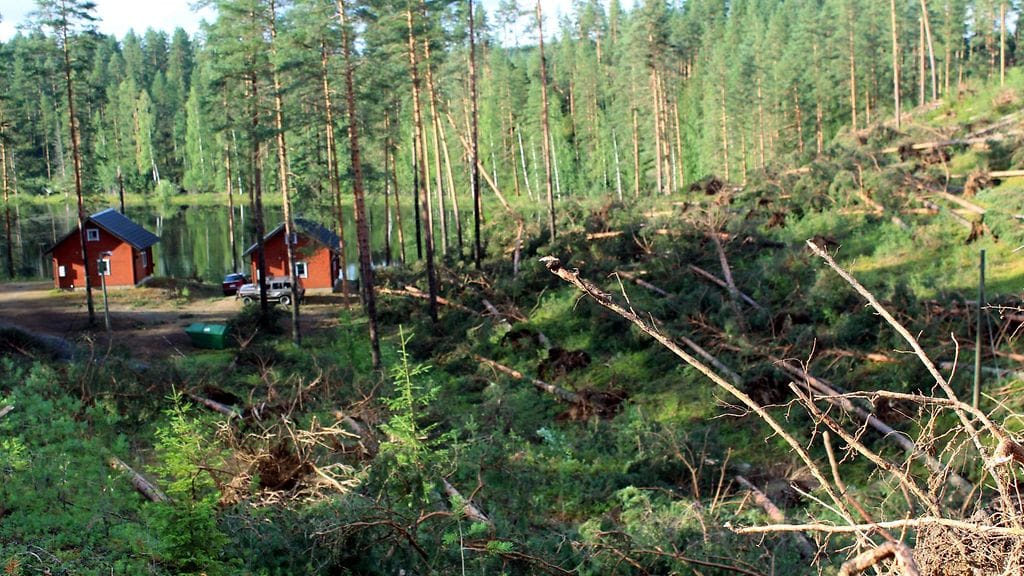 Saarijärven syöksyvirtaus leirintäalue