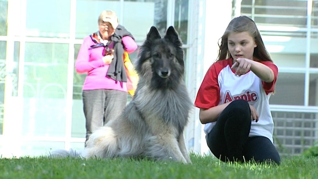 voittajakoira Prada ja pääosan esittäjä Ronja Alatalo.