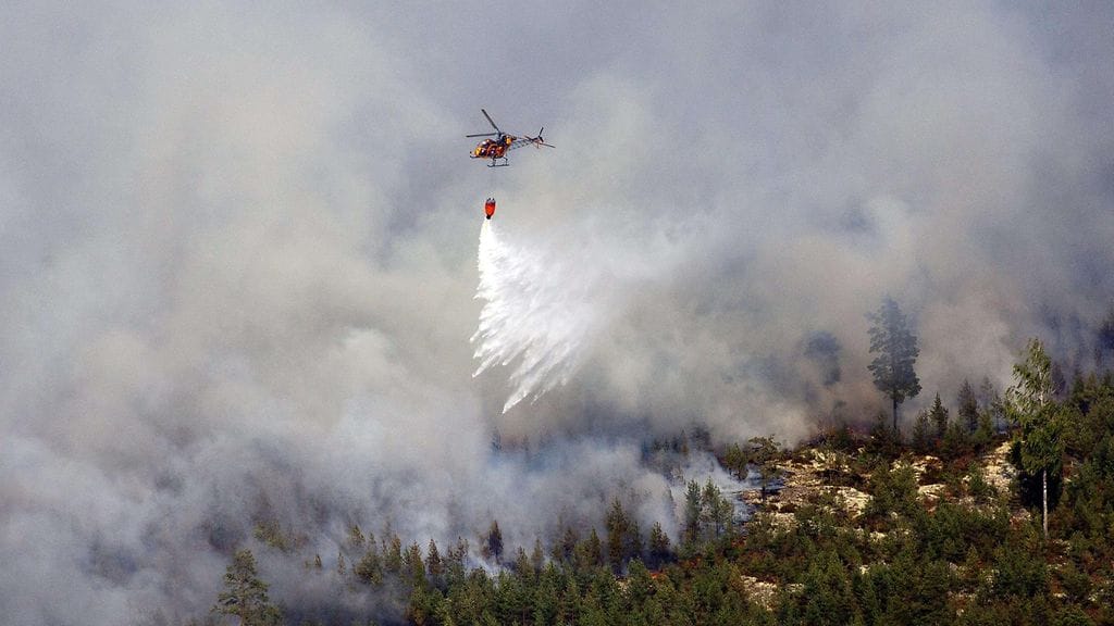 Helikopterista pudotetaan vettä metsäpalojen päälle Ruotsissa.