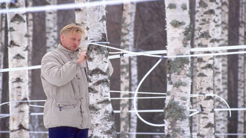 Nordic Koivun koivumahlaa viedään lähes kahteenkymmeneen maahan. (Kuva: Nordic Koivu.)