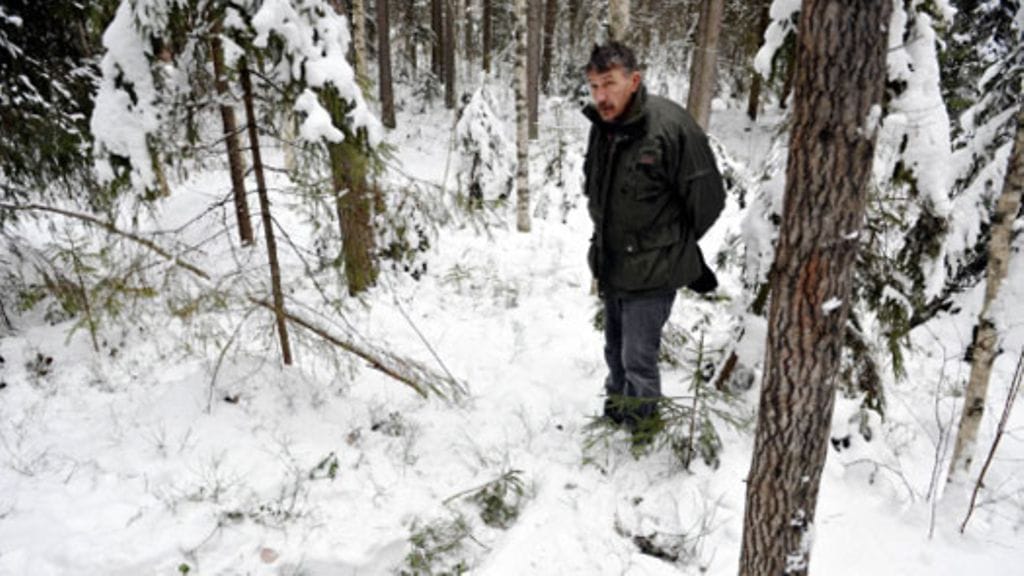 Nora Bhatia löytyi täältä. Kuva: Pekka Sakki/ Lehtikuva