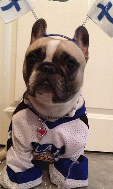 Ranskistyttö Nera tsemppaa Suomen Leijonia.