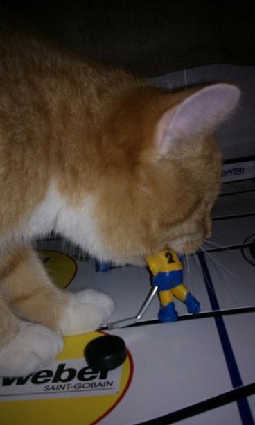 Suomileijona syö ruotsalaiset välipalaksi