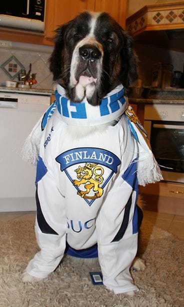 Tosifani kisafiiliksissä Kuopiossa.