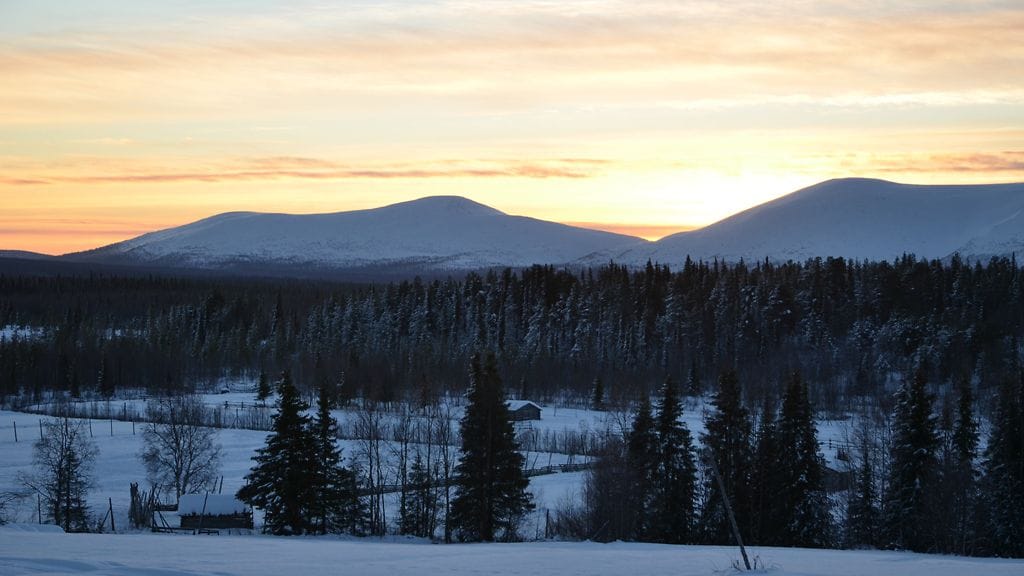 Pallas 13. marraskuuta 2012. Kuva Hannu Heinineva