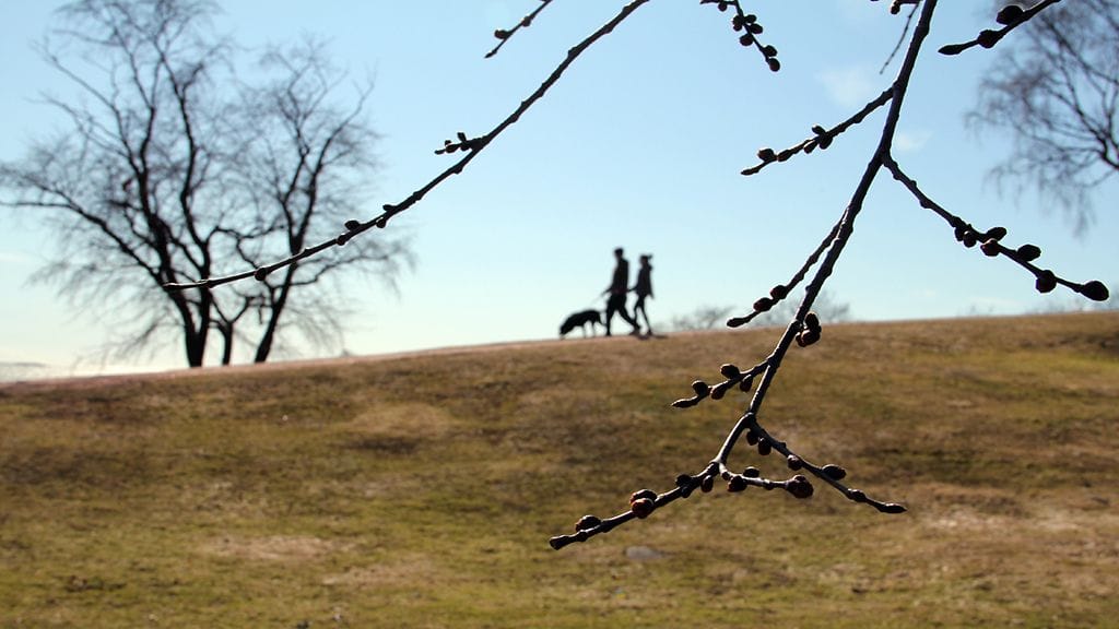 Idässä on tänään ylletty paikoin yli 17 asteen lukemiin. Arkistokuva