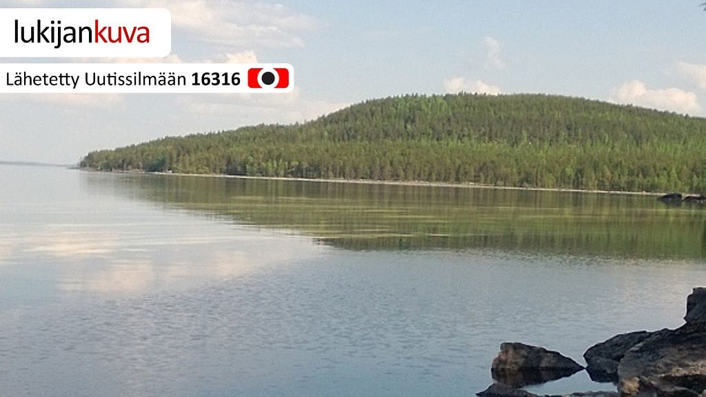 Siitepölyä Pielisellä 2.6.2013. Kuvaaja: Timo Alanko.