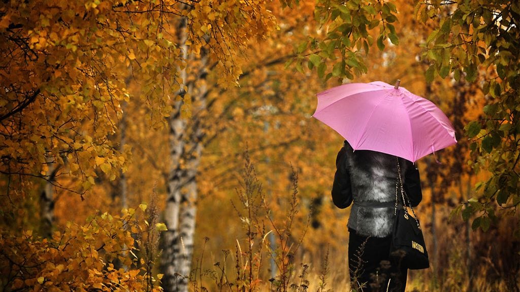 Syksyinen puisto Helsingissä 26. lokakuuta 2009.