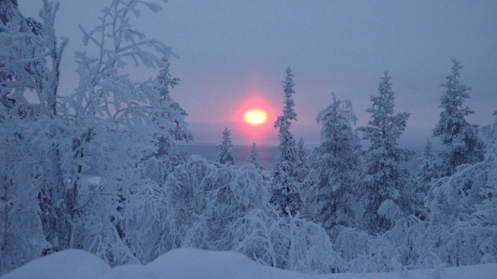 Suomen luonnon monimuotoisuus hupenee huolestuttavalla vauhdilla.