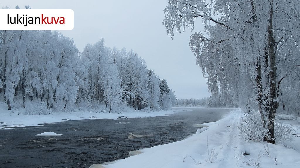 Aurinko on paistanut tänä talvena monin paikoin tavanomaista vähemmän. Pajakkakoski Kuhmossa 18. tammikuuta 2013. Lukijan kuva