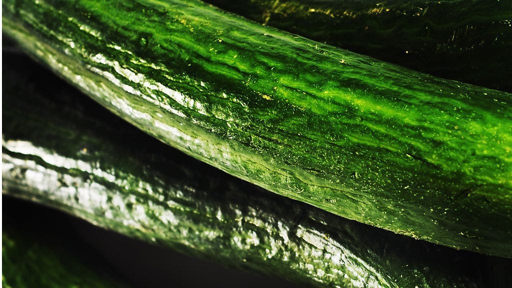 Vuoden kierto vaikuttaa siten, että esimerkiksi kurkun keskihinta oli viime vuonna korkeimmillaan marraskuussa. Kuvituskuva.