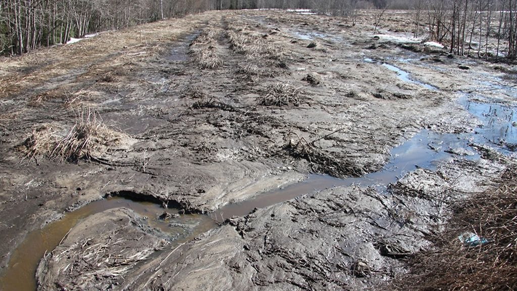 Kuvaaja: Seppo Knuuttila