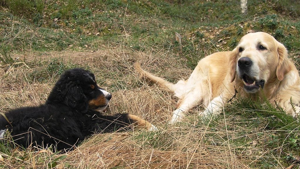 Kuvituskuvaa. Kuva: Lehtikuva