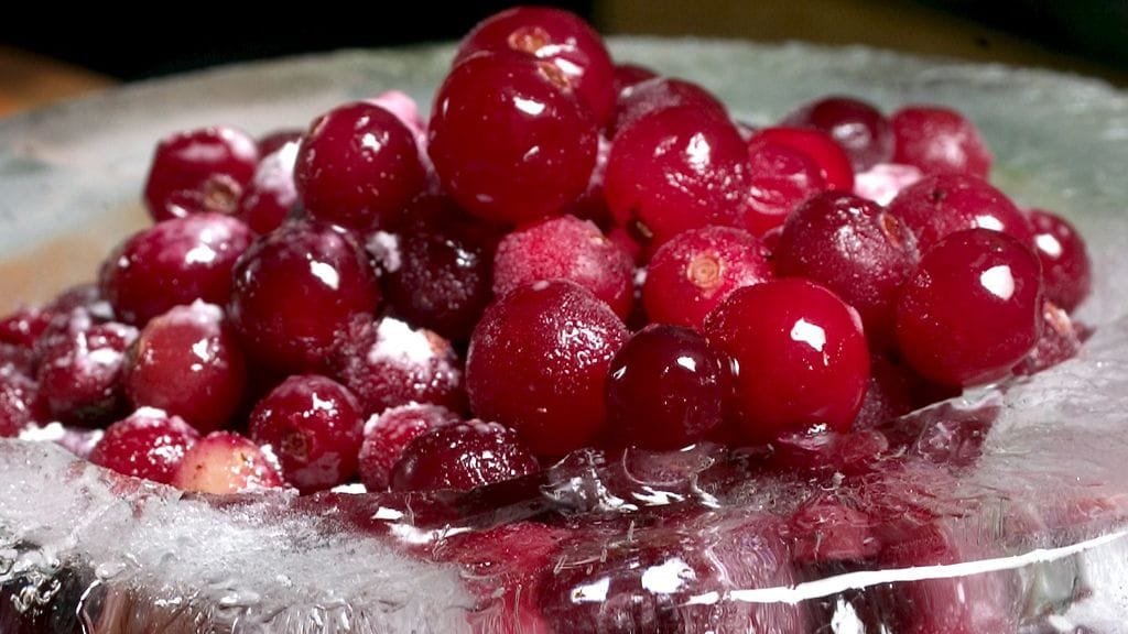 Karpaloita jääkulhossa.