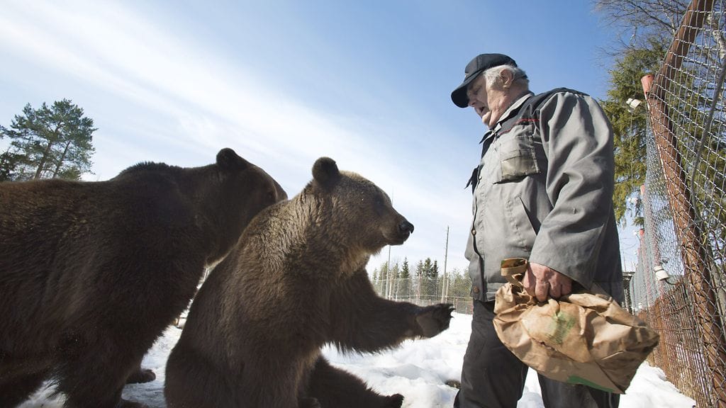 Sulo Karjalainen kuvattuna omistamassaan Kuusamon suurpetokeskuksessa Kuusamossa 22. huhtikuuta 2013.