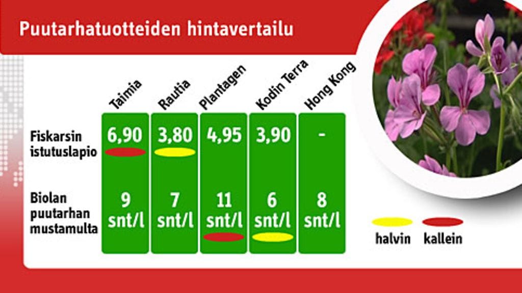 Puutarhavertailu 23.5.2010. Kuva: MTV3