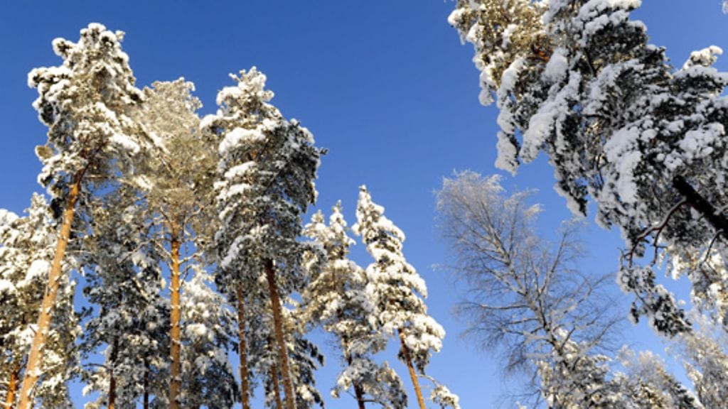 Asunnon energiankulutusta voi säädellä omilla valinnoilla. Kuva: Lehtikuva