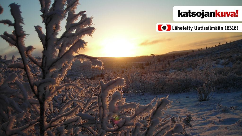 Näin talviselta näytti Saariselällä 20.11.2011. Kuva: Pauli Haapsaari