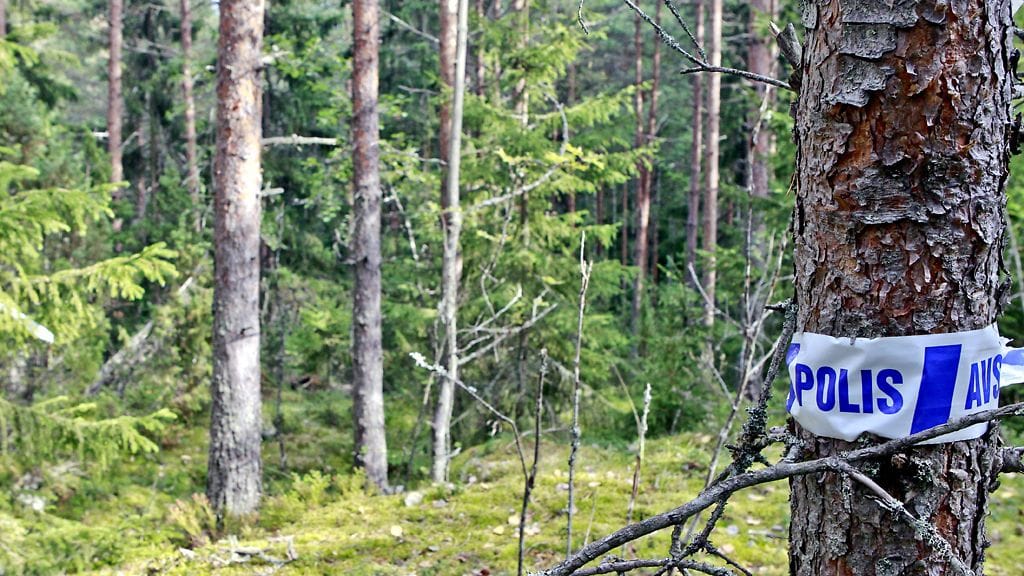 Tallenna  Poliisin eristysnauhan jäänteet olivat ainut merkki naisen ruumiin löytöalueella Tampereen Hervannassa 5. syyskuuta 2011. Nainen löytyi tiedepuisto Hermian lähellä olevasta metsästä iltapäivällä ennen kello yhtä. Kuva: Lehtikuva