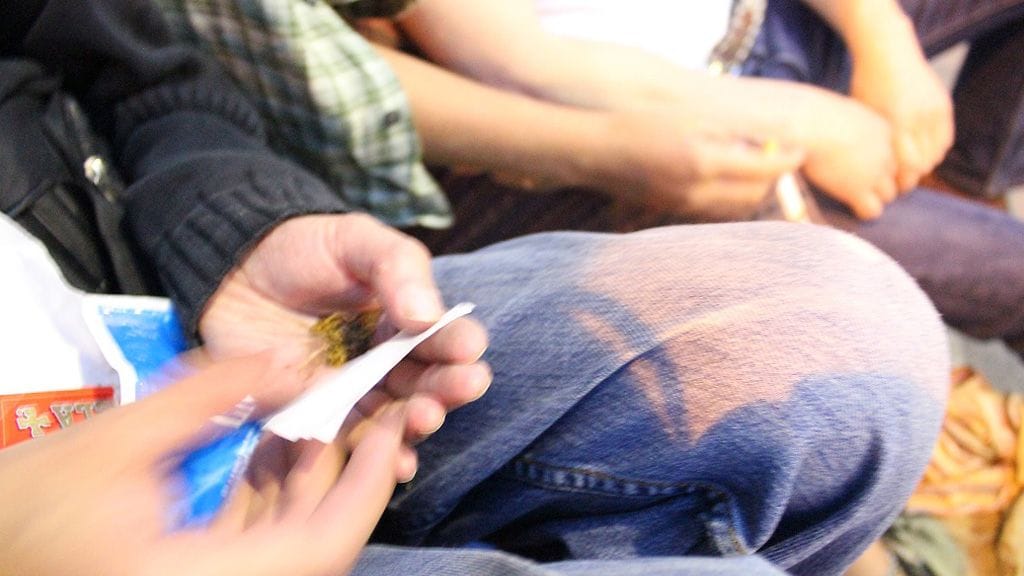 Kannabissätkän käärintää.