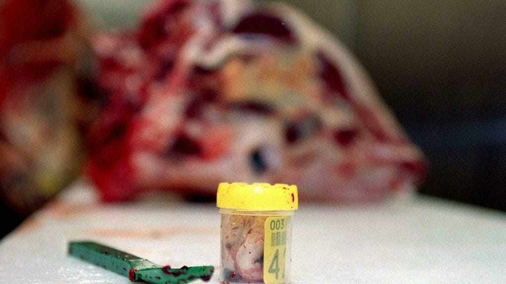 Testausta BSE-taudin varalta.