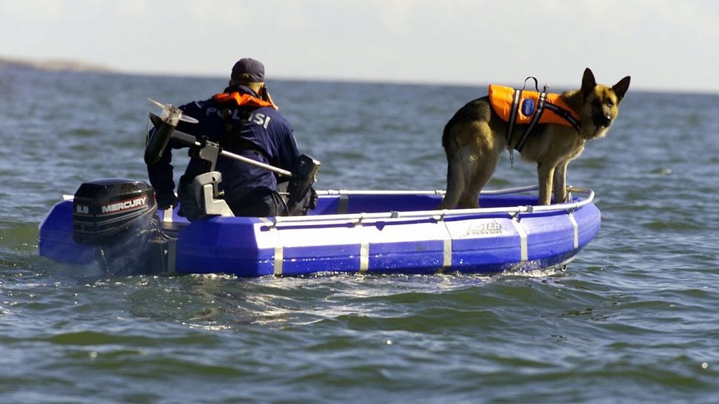 Ruumiskoira ilmaisee vainajan löytöpaikan veneestä haukkumalla.