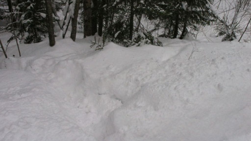 Jyväskylän läheltä Taka-Keljosta löytyi 08.01.2010 isoon laukkuun pakattu 25-vuotiaan naisen ruumis. Kuvassa löytöpaikka.