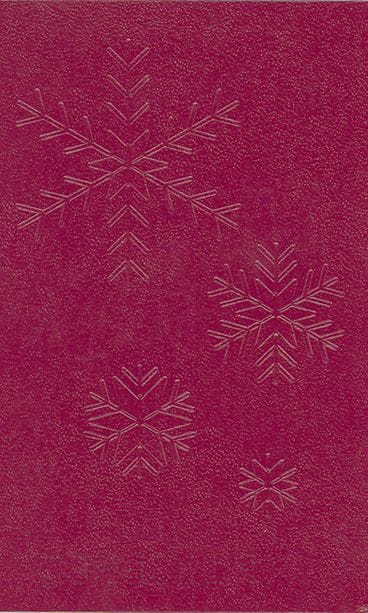 Uuden passin takakansi