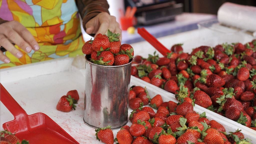 Torimansikatkin voi tulevaisuudessa kuitata kännykällä