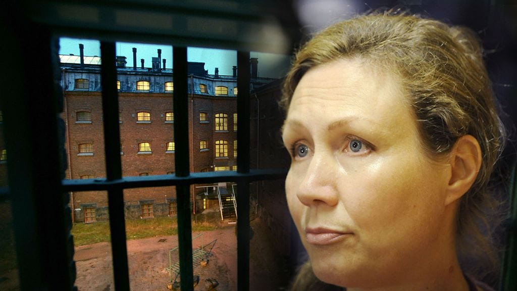 Vankila uhkaa jälleen murhasyytteistä vapautettua Anneli Aueria. Tällä kertaa raskaat rikosnimikkeet käsittelevät lapsen seksuaalista hyväksikäyttöä.