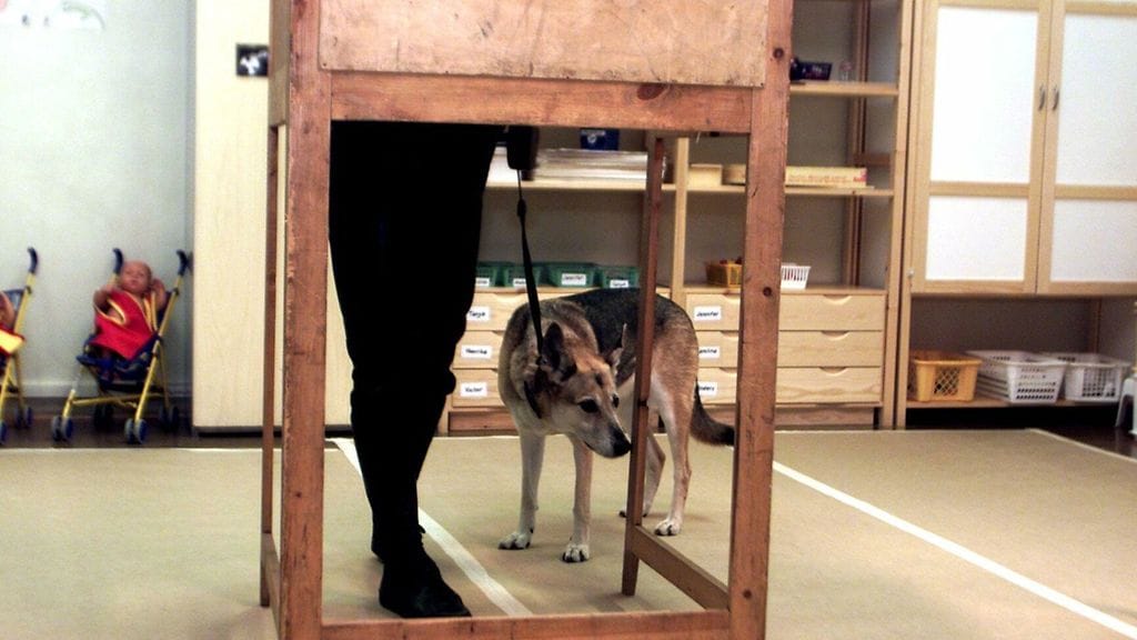 Edellisissä kuntavaaleissa vuonna 2008 äänestysprosentti oli 61,2.