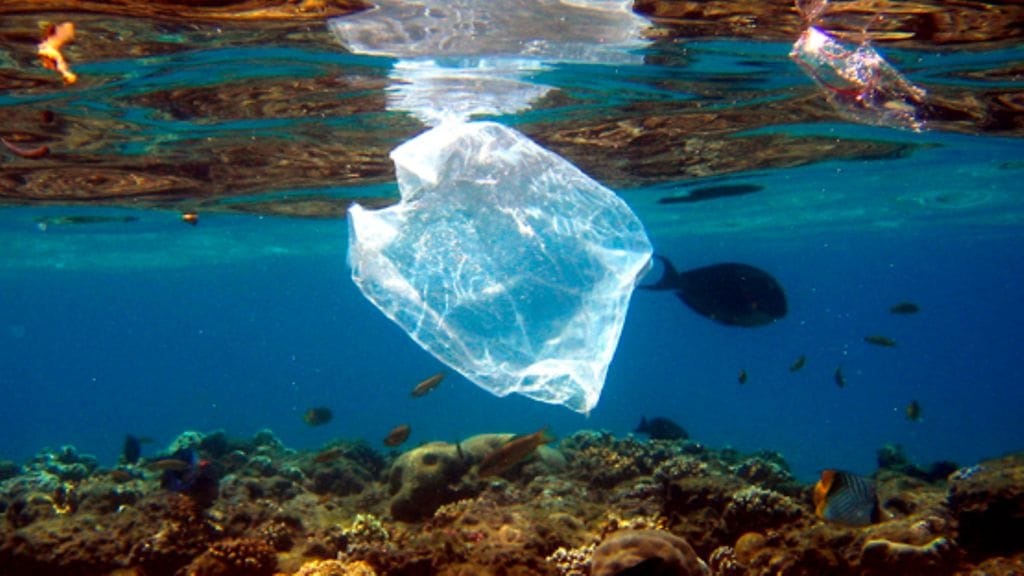 Noin 30 vuoden kuluttua maailman merissä voi olla enemmän muovia kuin kaloja, kertoo tutkimus.