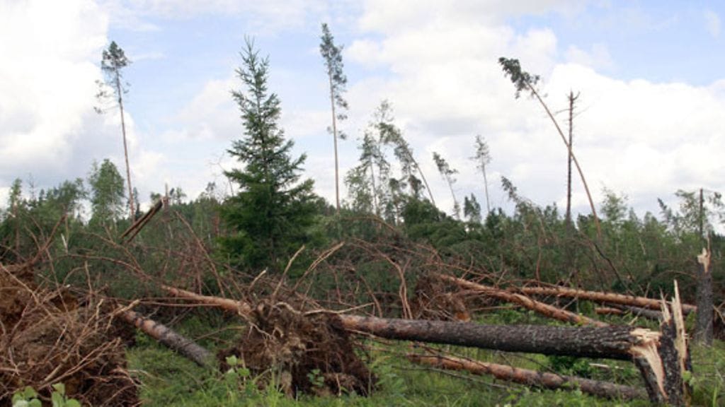 Myrskytuhoja 6-tien vieressä Rautjärvellä 30. heinäkuuta 2010. (LEHTIKUVA)