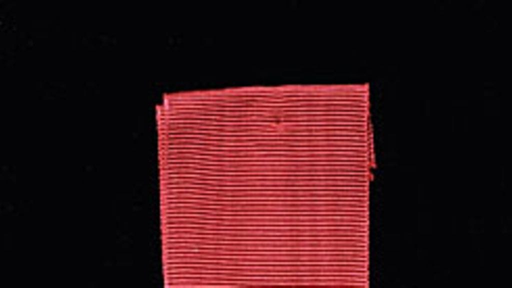 Suomen Leijonan Pro Finlandia -mitali (Kuva: LEHTIKUVA)