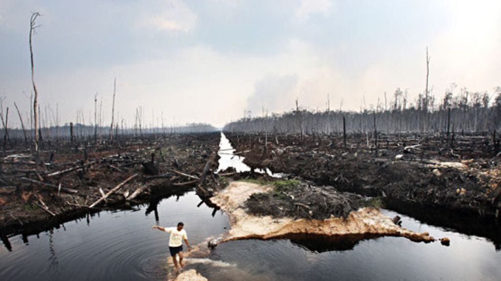 Vuoden 2009 Lehtikuva / Heidi Piiroinen, HS, Helsinki